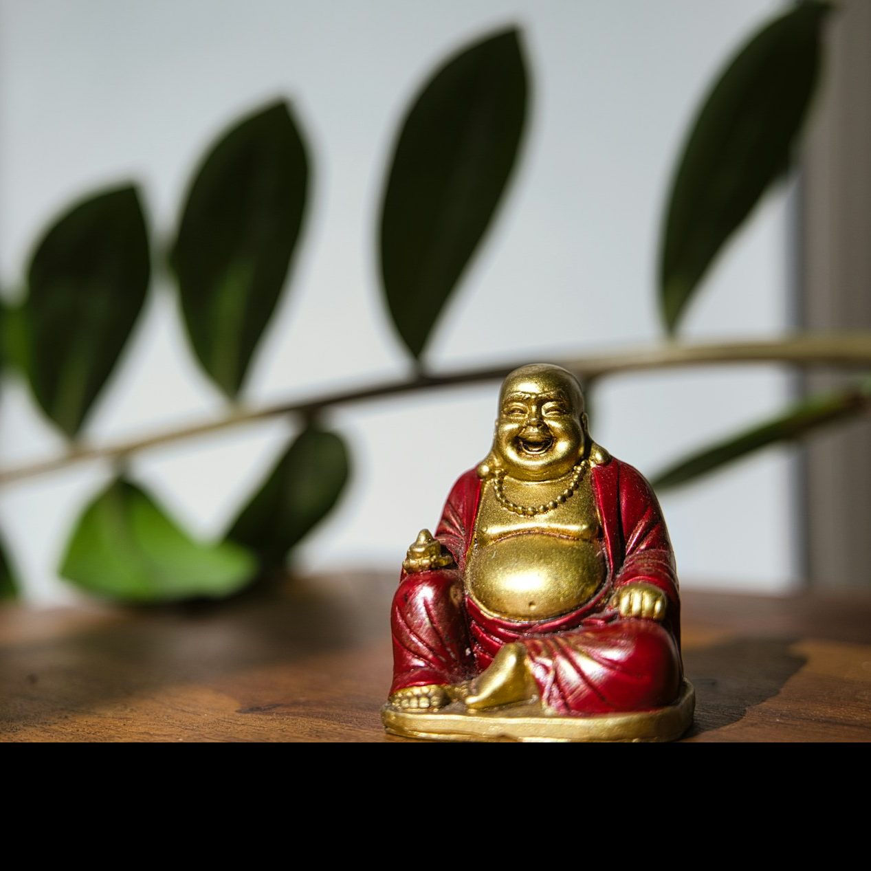 Sitzender Buddha Eine goldene Buddha-Figur in rotem Gewand auf einem Tisch, im Hintergrund grüne Blätter.