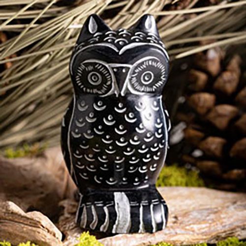 Schwarze Eule mit weißen Mustern, auf natürlichem Hintergrund aus Holz und Moos.